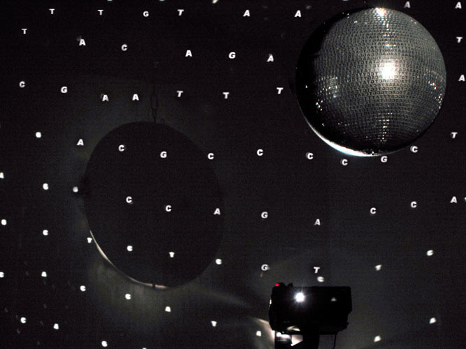 Wenn ich ‚ich‘ sage, lüge ich